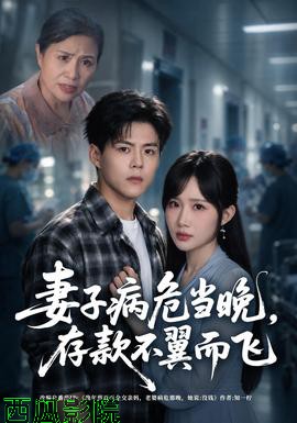 妻子病危当晚，存款不翼而飞现代都市在线观看